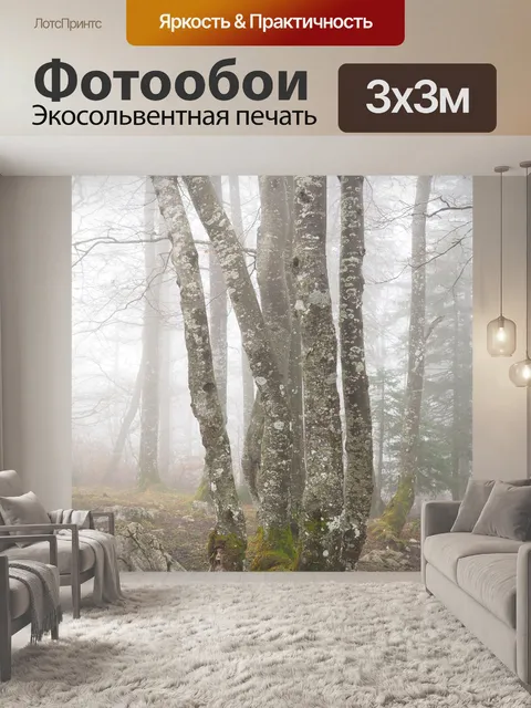 Фотообои Лес