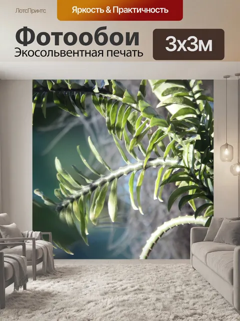 Фотообои Тропические Растения для сада