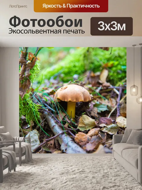 Фотообои гриб