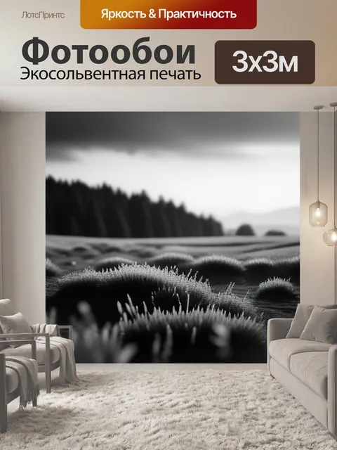 Фотообои пейзаж с небом картинки чернобелый