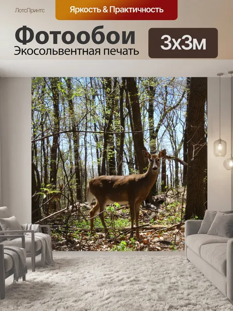Фотообои Олень