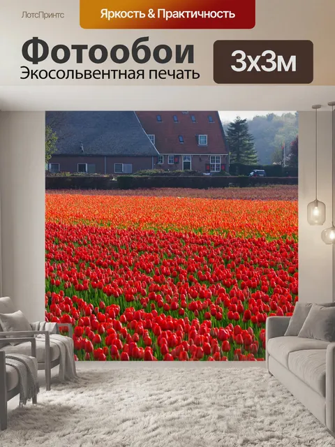 Фотообои Тюльпаны