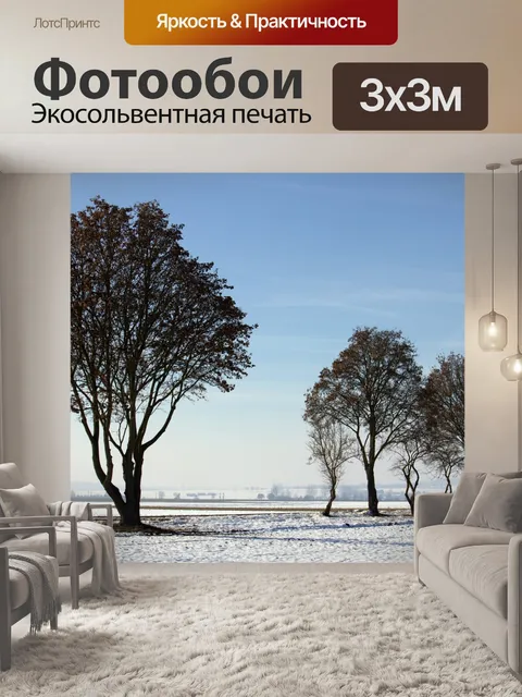 Фотообои Снег