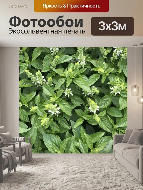 Фотообои Бэзил
