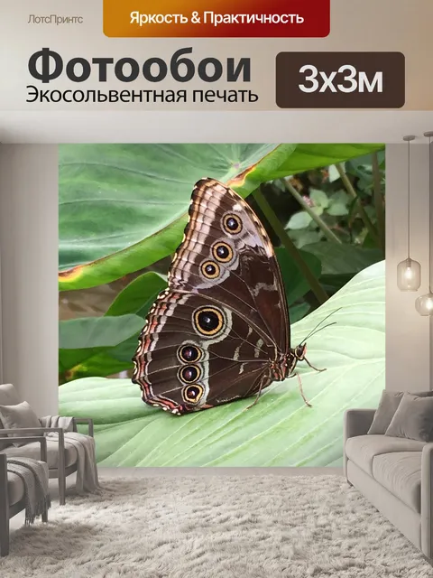 Фотообои Бабочка