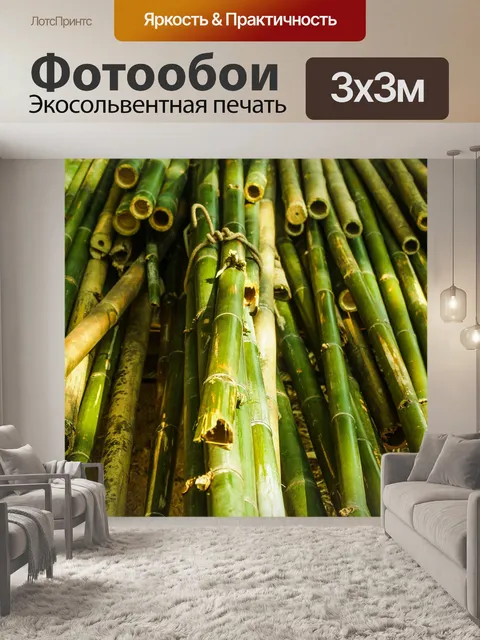 Фотообои Бамбуковый лес природа фон