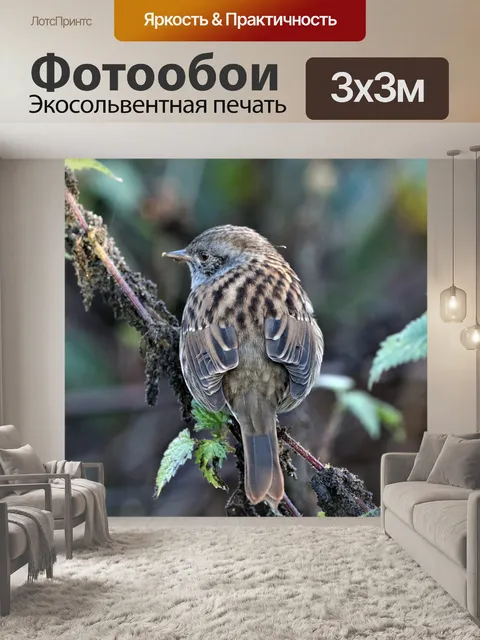 Фотообои Птица