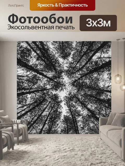 Фотообои Лес