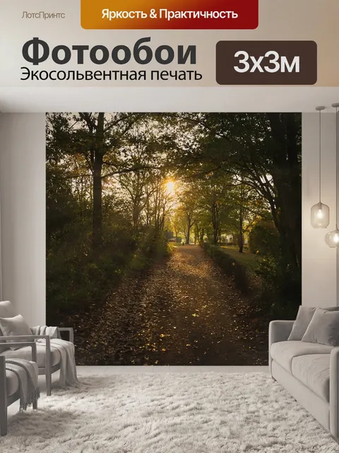 Фотообои Заход солнца