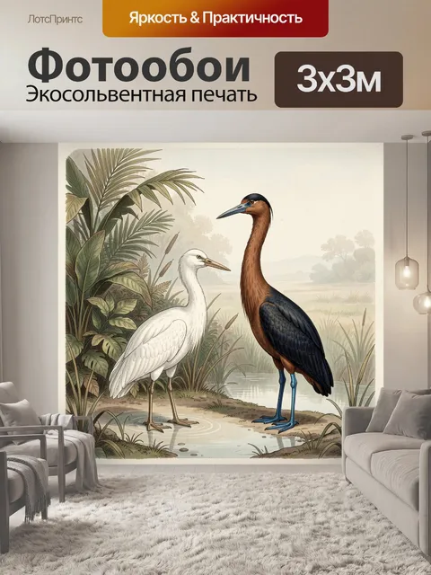 Фотообои Две цапли у тропического болота