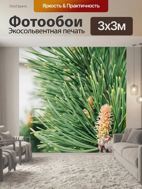 Фотообои Растения