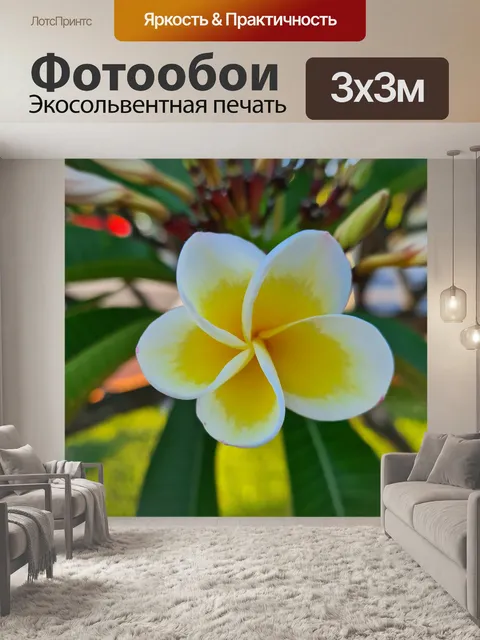 Фотообои Франжипани Желтый Белый Одноместный
