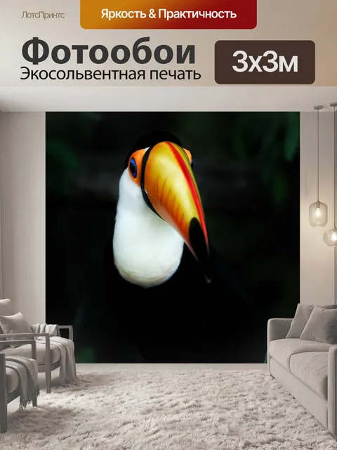 Фотообои Тукан