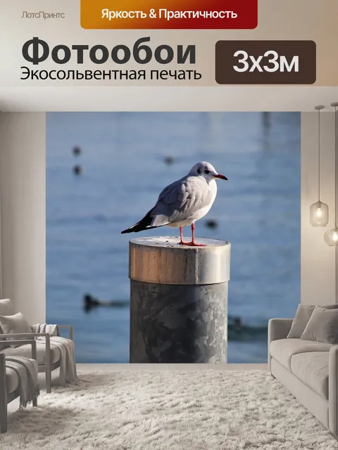 Фотообои Птицы