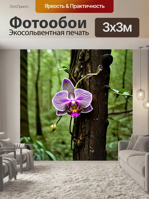 Фотообои эпифитная орхидея, цветов множества тонов, растет на стволе дерева в густом лесу