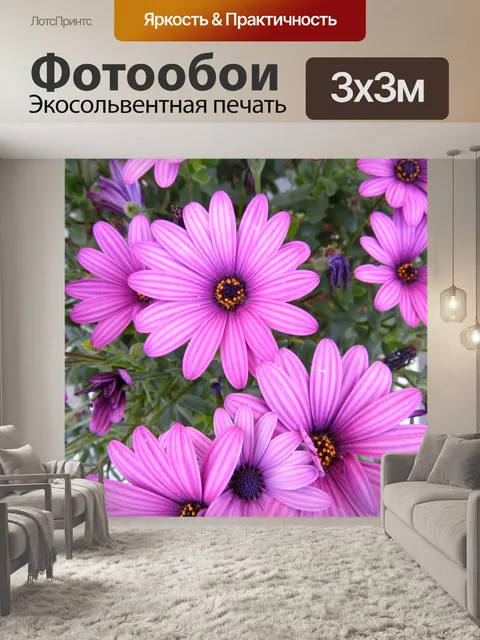 Фотообои Розовый и фиолетовый цветы