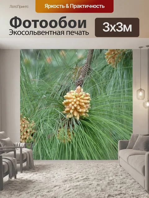 Фотообои Природа