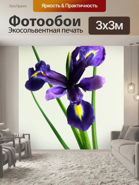 Фотообои Ирис