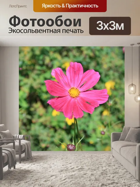 Фотообои космос цветок