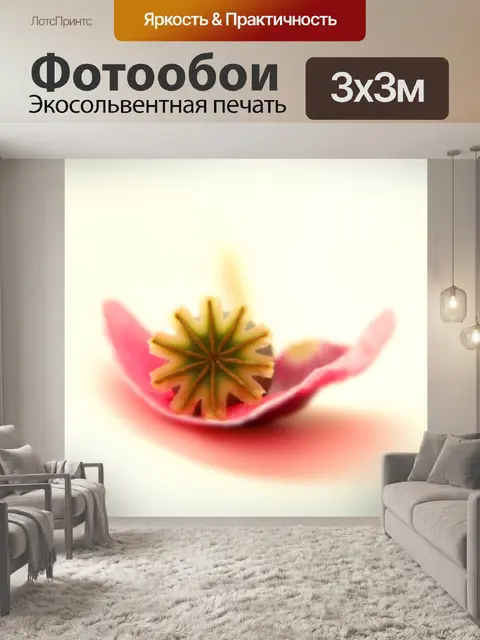 Фотообои Мак