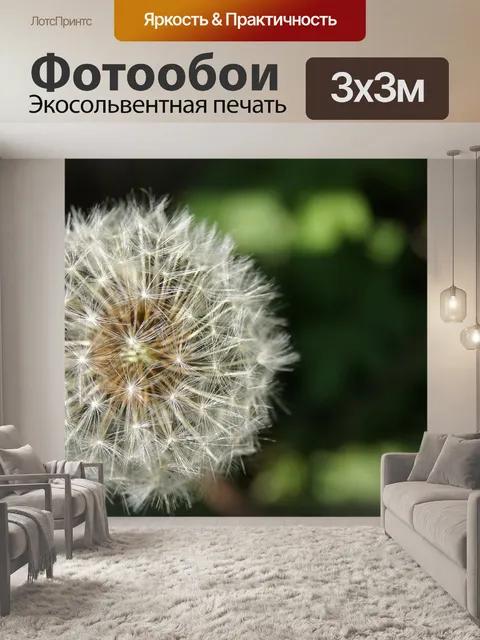 Фотообои Природа