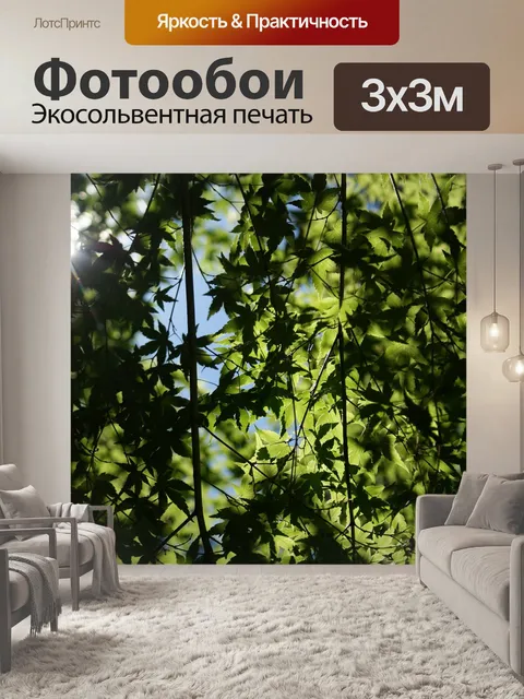 Фотообои Деревья