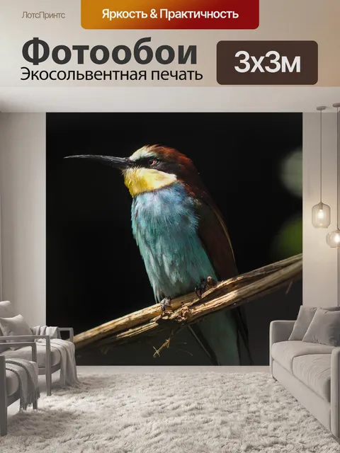 Фотообои Птица