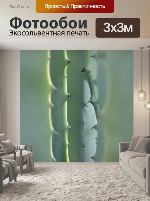 Фотообои Агава