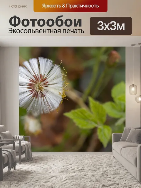 Фотообои Природа