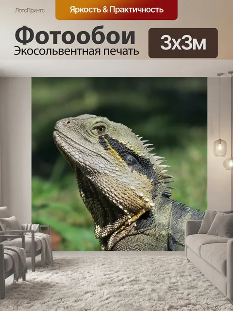 Фотообои Животное