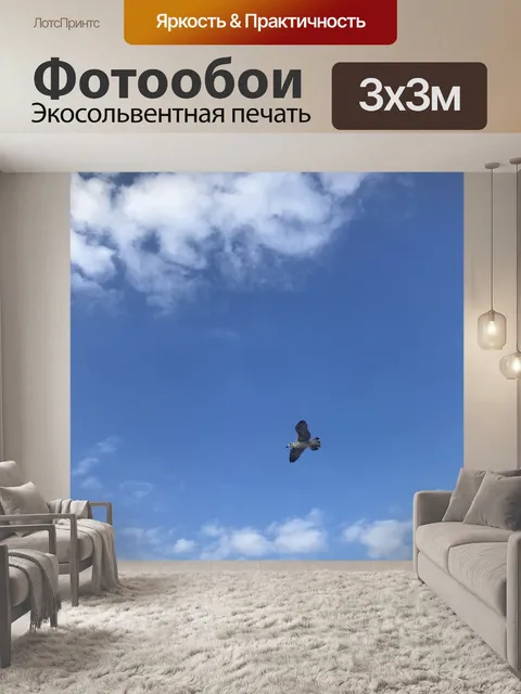 Фотообои Птицы
