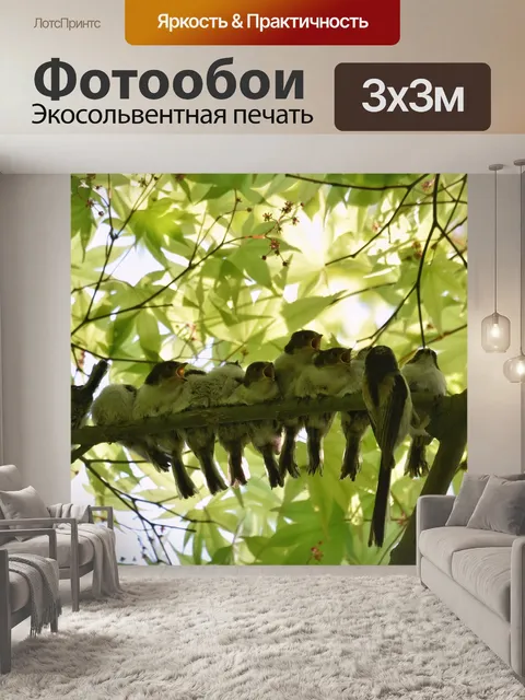 Фотообои Животное