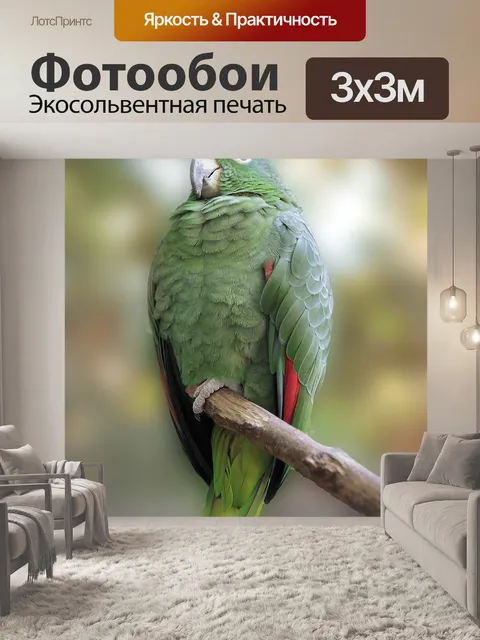 Фотообои Природа