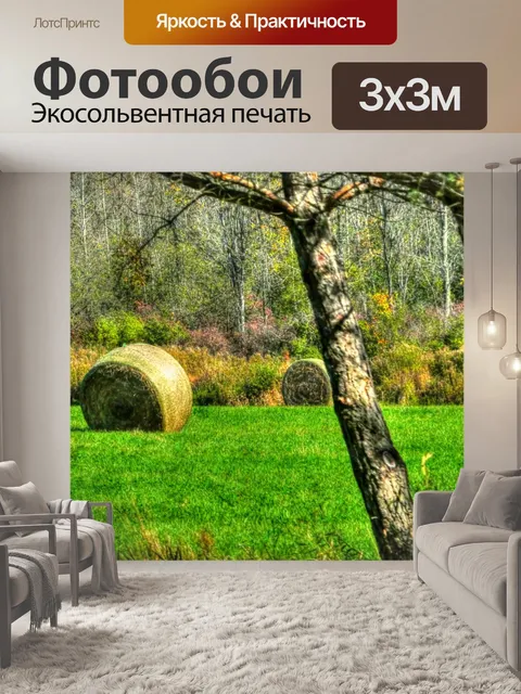 Фотообои Тюлени сена осенью