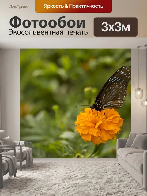Фотообои Бабочка