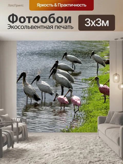 Фотообои Деревянный аист и колпица