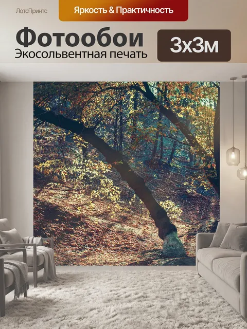 Фотообои Осень