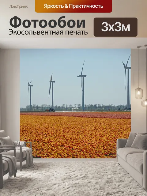 Фотообои Тюльпаны