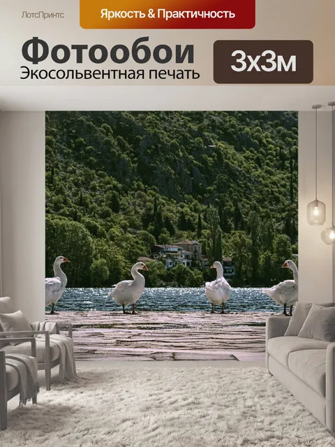 Фотообои Утка