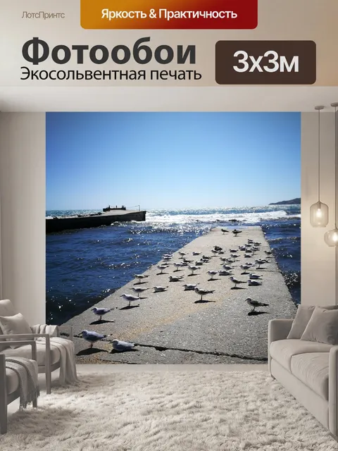 Фотообои Чайки