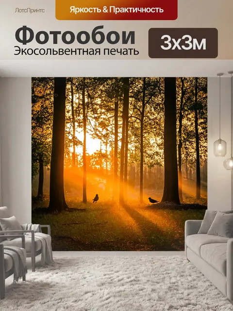 Фотообои закат в лесу, солнце прорывается сквозь густые деревья, яркие золотые лучи заполняют просветы, птицы…
