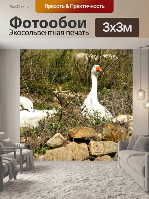 Фотообои Природа