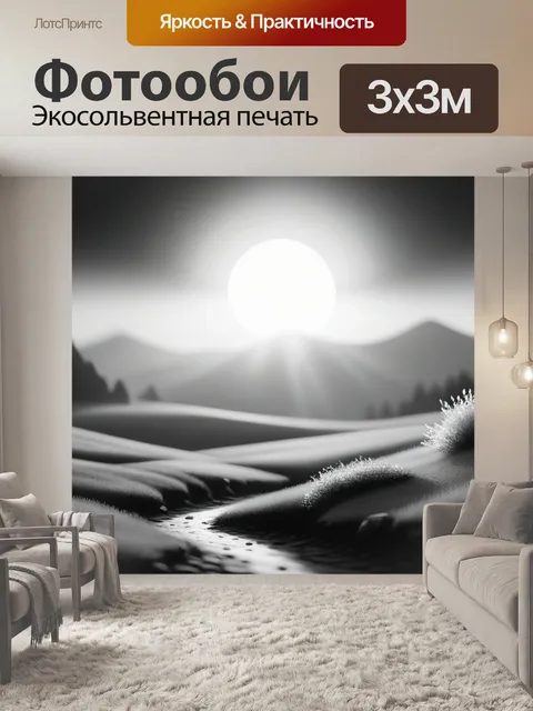 Фотообои пейзаж с солнцем чернобелый