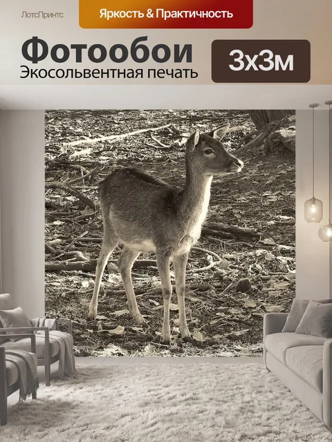 Фотообои Олень