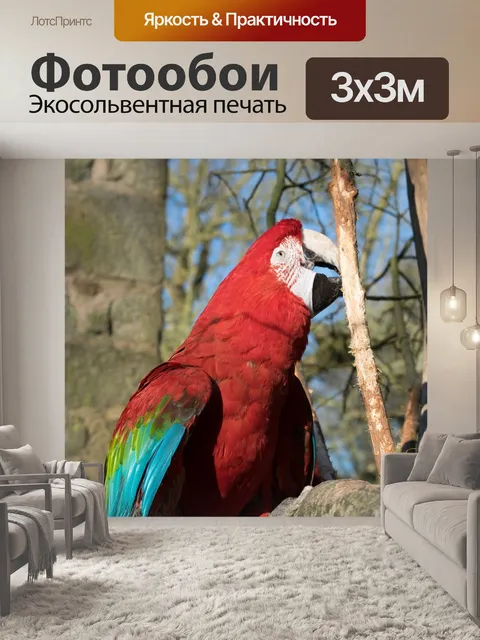 Фотообои Птица