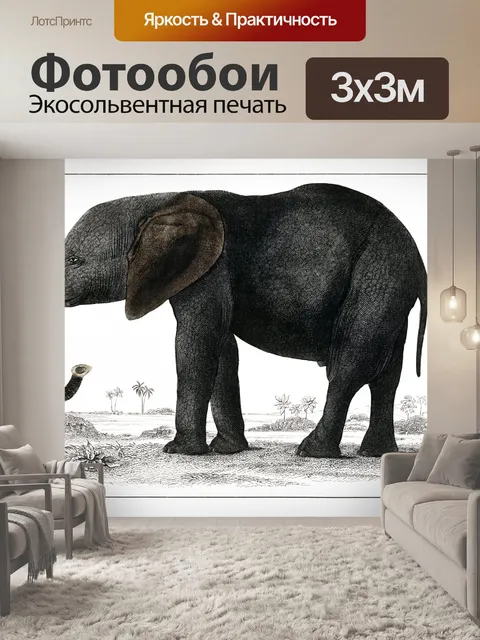 Фотообои Слон диких животных Африка винтаж