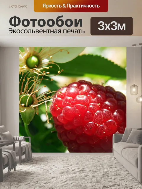 Фотообои Природа