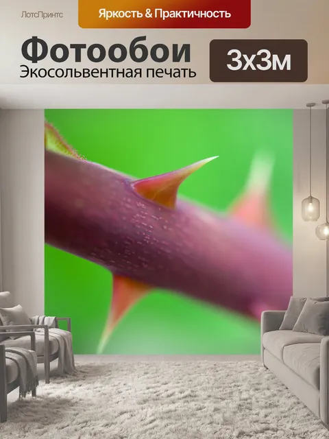 Фотообои Макрос шип