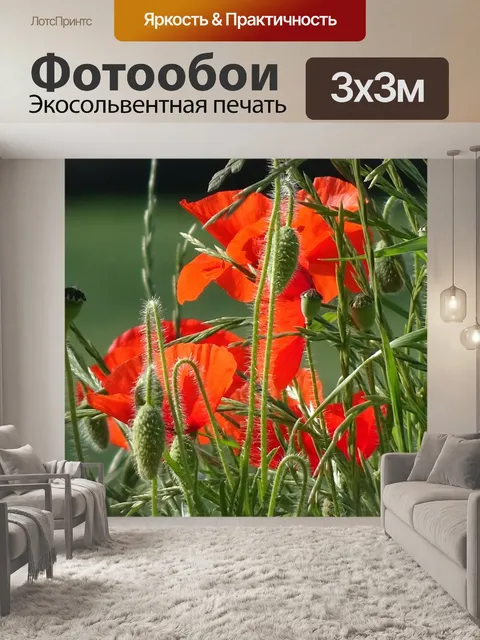Фотообои Маки