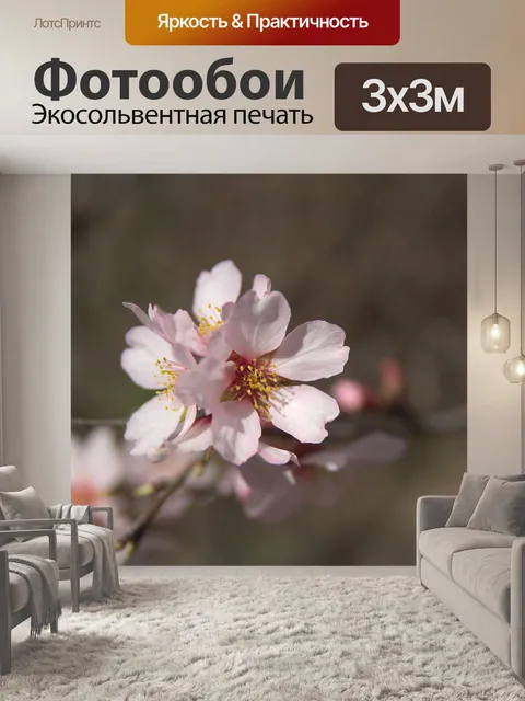 Фотообои Цветок